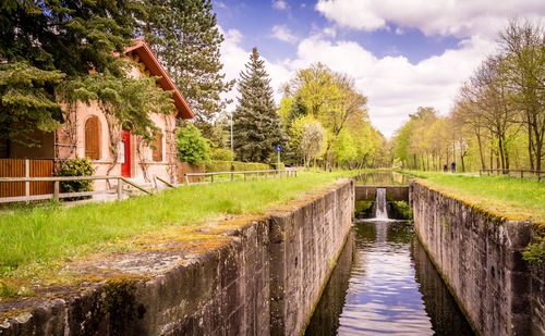 Canal amidst trees against sky