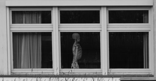 Rear view of man standing against window