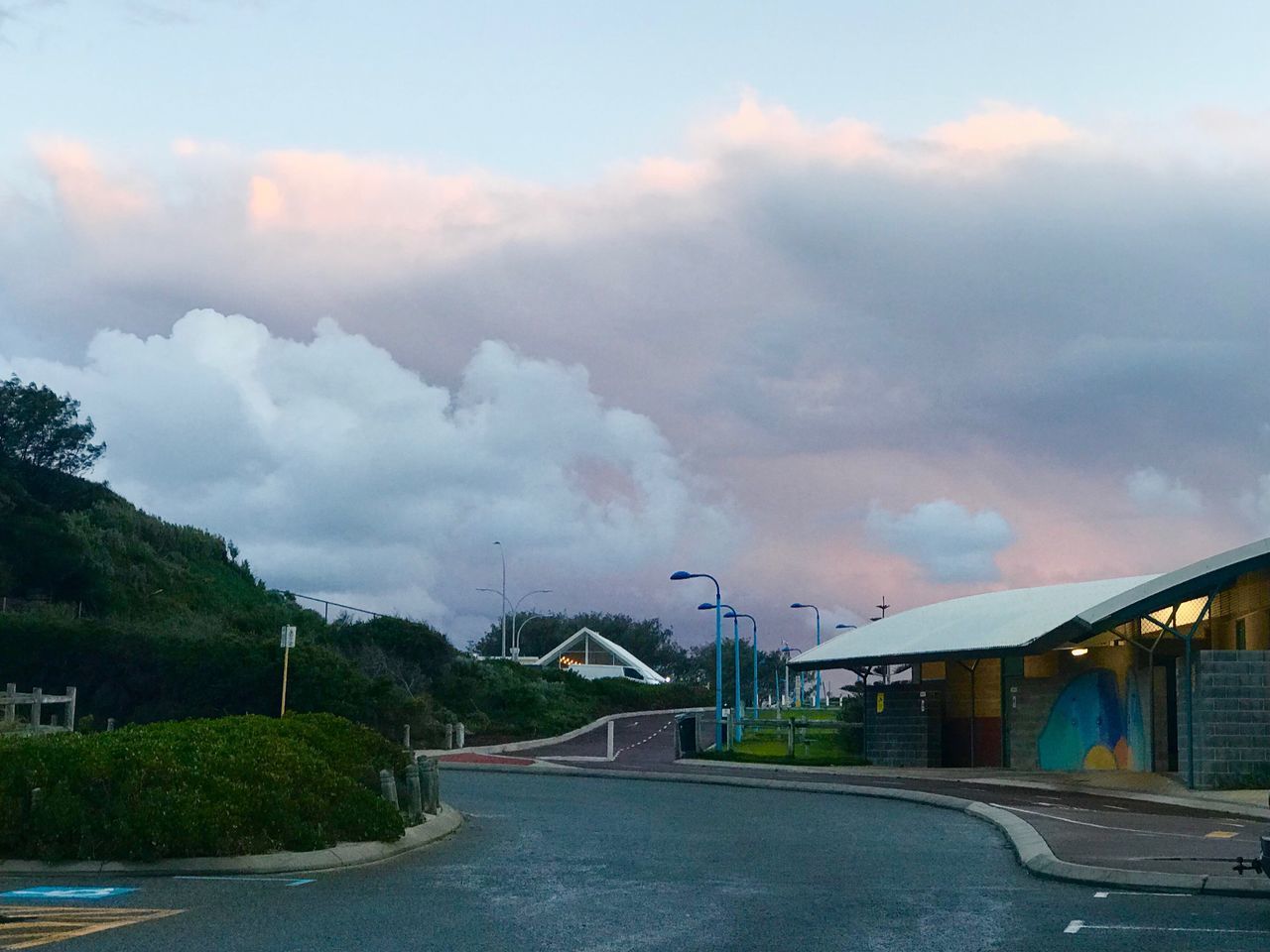 ROAD BY PLANTS AGAINST SKY