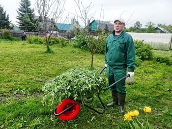 Gardener holding wheelbarrow with plants at garden