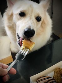 Close-up of person eating food