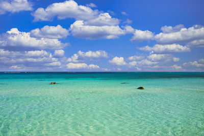 Beautiful coral reef sea in okinawa