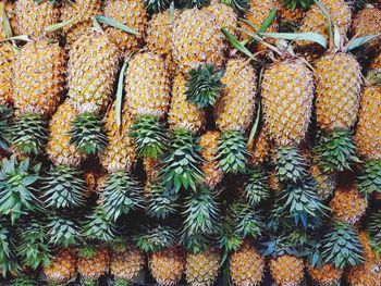 Pineapple. fruit