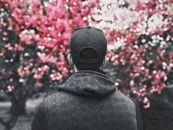 Rear view of man looking at christmas lights