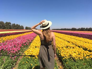 Rear view of woman standing on sunflower field against clear sky