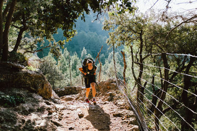 Hiker walking on footpath amidst trees