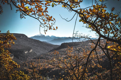 Autumn mountain peaks view from the forest