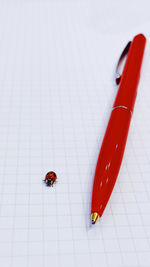 High angle view of ladybug on table against white background