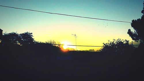 Silhouette of trees at sunset