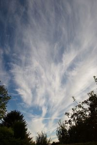 Low angle view of trees against cloudy sky