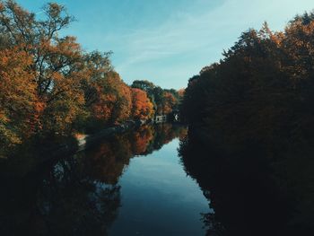 Reflection of trees in lake