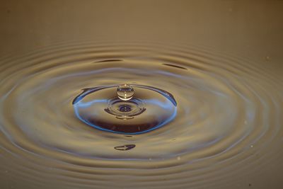 High angle view of water drop