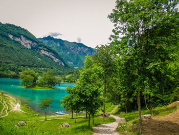 Scenic view of lake by trees against clear sky