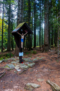 View of jesus christ on crucifix against trees