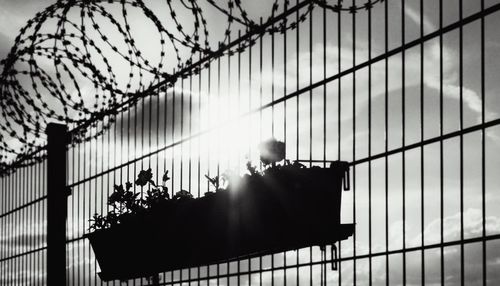 Rear view of man standing by fence against sky