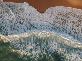 Close-up of sea shore