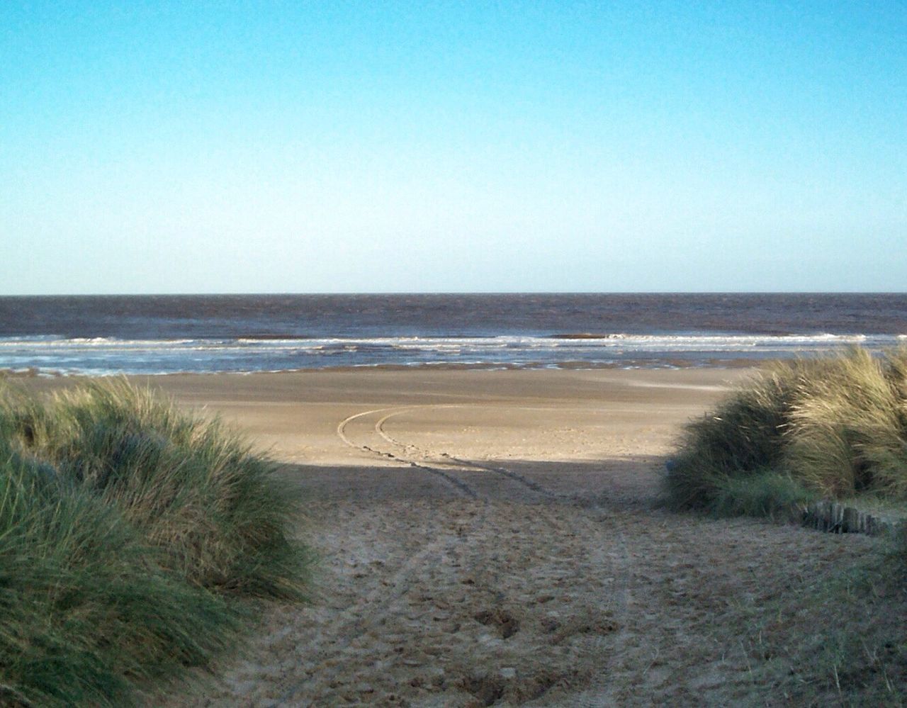 clear sky, sea, horizon over water, beach, copy space, water, sand, shore, tranquil scene, tranquility, scenics, beauty in nature, nature, blue, grass, idyllic, coastline, day, remote, outdoors