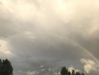 Low angle view of trees against rainbow in sky
