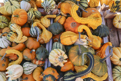 High angle view of pumpkins for sale at market