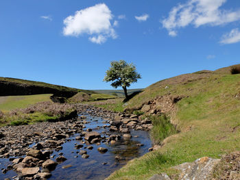 Scenic view of landscape against blue sky