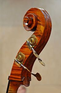 High section of violin