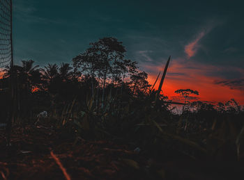 Silhouette trees on field against sky during sunset