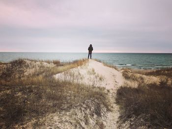 Rear view of silhouette man walking on beach