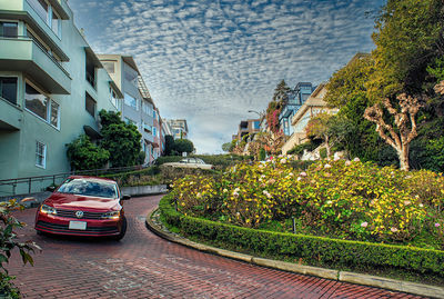 Cars on street by buildings in city