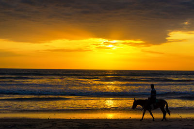 Man riding horse on beach against cloudy sky during sunset
