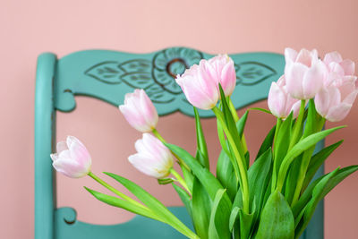 Close-up of pink flowering plant in vase