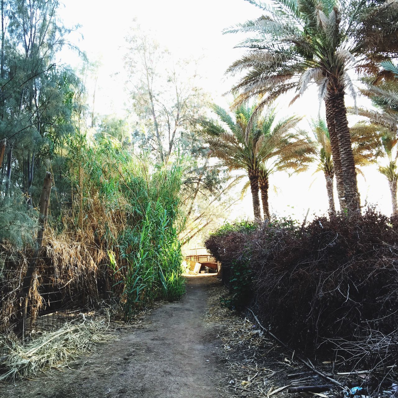 حير العتيق✌🏿️