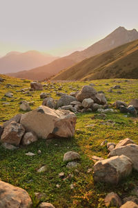 Rocks on field by mountains against sky