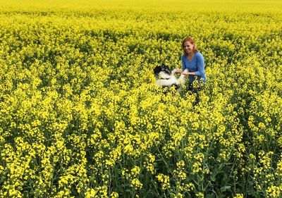 Full frame shot of yellow flowers in field