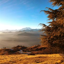 Scenic view of desert against clear sky