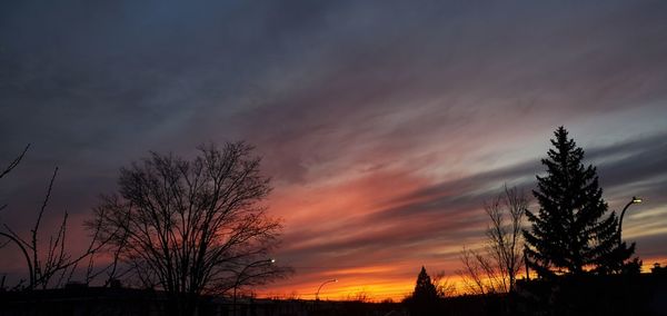 Silhouette bare trees against sky during sunset