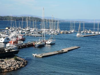 Sailboats moored in harbor