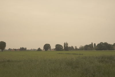 Scenic view of field against clear sky