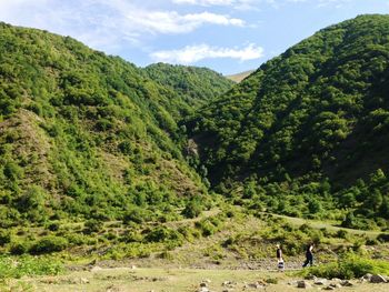 Scenic view of forest against sky