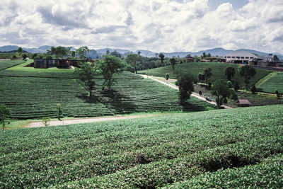 Scenic view of landscape against sky