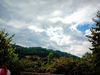 Scenic view of trees against sky