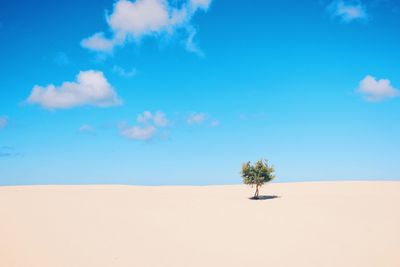 Scenic view of desert against sky