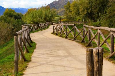 Footpath amidst trees on landscape