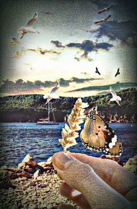 Close-up of birds flying over lake against sky