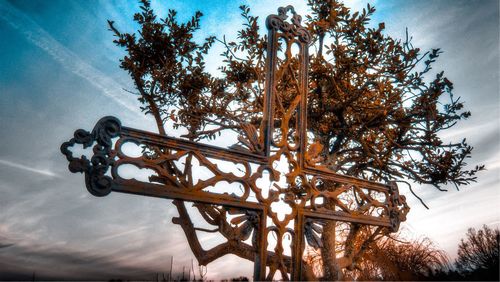 Low angle view of trees against sky