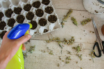 Cropped hands of man watering soil at table