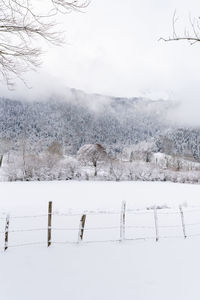 Scenic view of snow covered field