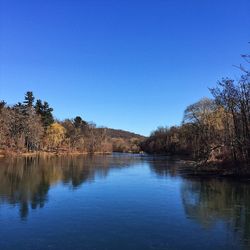 Scenic view of trees against clear blue sky