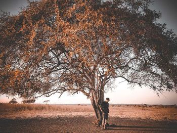 Man standing by tree on field against sky during autumn