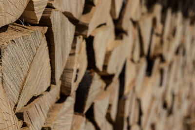Full frame shot of logs in forest