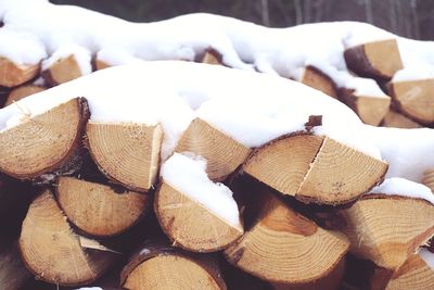 Close-up of logs of wood covered in snow